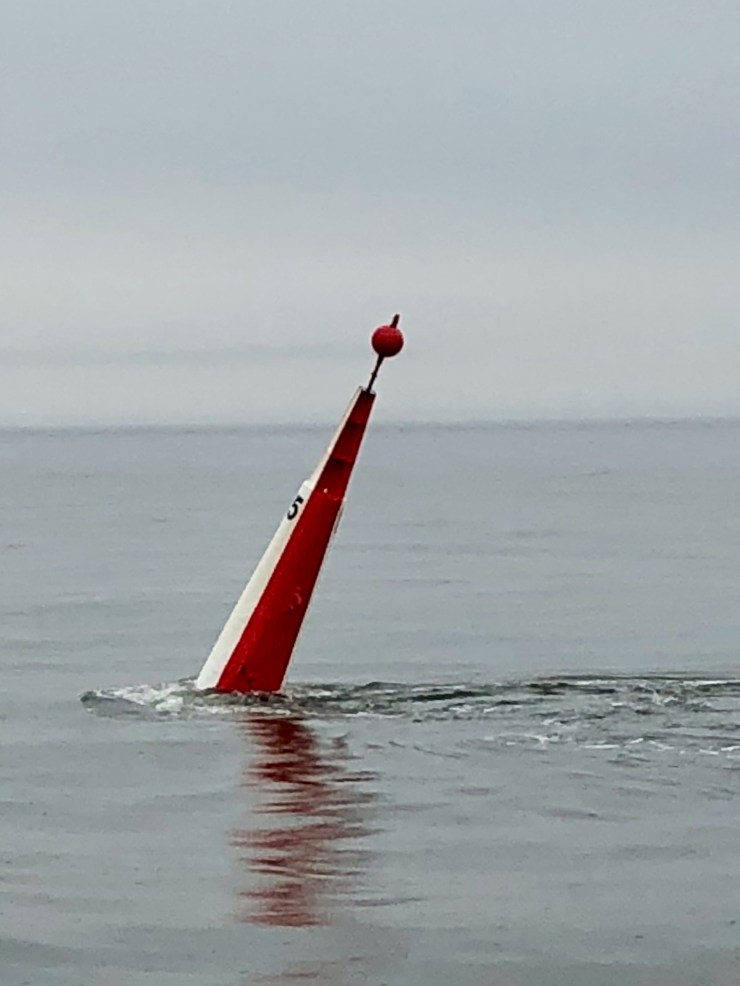 D07E6161-E9EA-493B-A962-91B901EFDA58