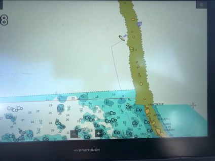 118767797_374203070240019_2859596162072336491_n