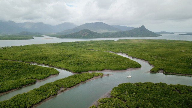 Ankrade i mangroveträsket